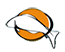 Logo fishingWorldrecords