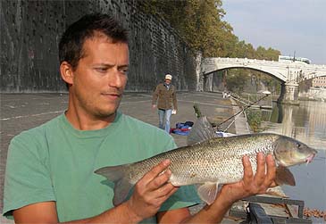 best fly fishing pole and reel Fly Fishing Rod Best Reel For Striper Fishing Best Size Rod Reel For  Inshore Flats Fishing (