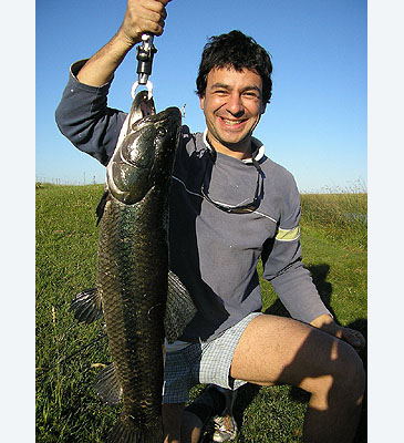 Fishing Worldrecords | characins | Hoplias lacerdae