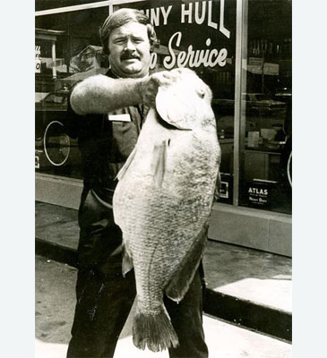 Fishing Worldrecords, Perciformes over 10 kg