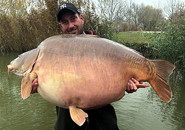 Fishing Worldrecords, carps over 25 kg