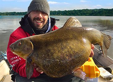 3319_Tinca_tinca_Tench0.jpeg 3319_Tinca_tinca_Tench0.jpeg