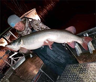 3329_Esox_masquinongy_Muskellunge0.jpeg 3329_Esox_masquinongy_Muskellunge0.jpeg