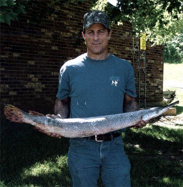 3470_Lepisosteus_platostomus_Shortnose_Gar0.jpeg