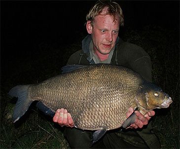 3475_Abramis_brama_Common_Bream0.jpeg