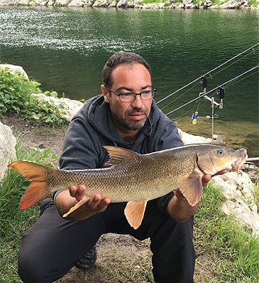 3564_Luciobarbus_graellsii_Graell's_Barbel0.jpeg