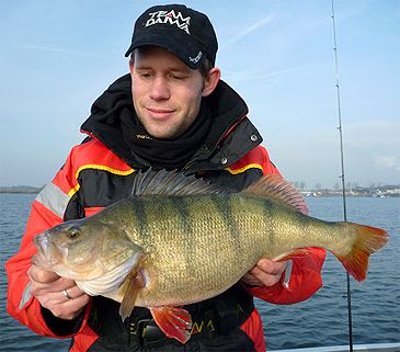 Fishing Worldrecords, Perciformes up 10 kg