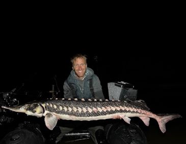 3695_Acipenser_stellatus_Stellate_Sturgeon0.jpeg