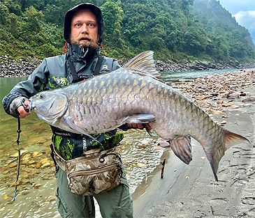 3755_Neolissochilus_hexagonolepis_Copper_Mahseer0.jpeg