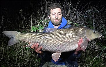 3842_Barbus_barbus_Barbel0.jpeg