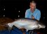 2864_Palm Tree Lagoon Fishing Park_Thai Shark Catfish_Helicophagus leptorhynchus.jpg