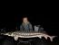 3695_Acipenser_stellatus_Stellate_Sturgeon0.jpeg