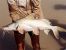 1991_Burma Shovelnose Catfish_Sperata acicularis.jpg