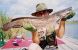 2003_Fishing Adventures Thailand_Broadhead Catfish_Clarias macrocephalus.jpg