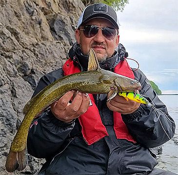 3825_Tachysurus_ussuriensis_Ussuri_Catfish0.jpeg