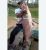 3838_Pangasius_nasutus_Shark_Head_Patin0.jpeg