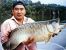 3840_Scleropages_formosus_Asian_Bonytongue0.jpeg