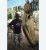 3839_Wallago_leerii_Striped_Wallago0.jpeg