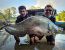 3835_Chitala_lopis_Giant_Featherback0.jpeg